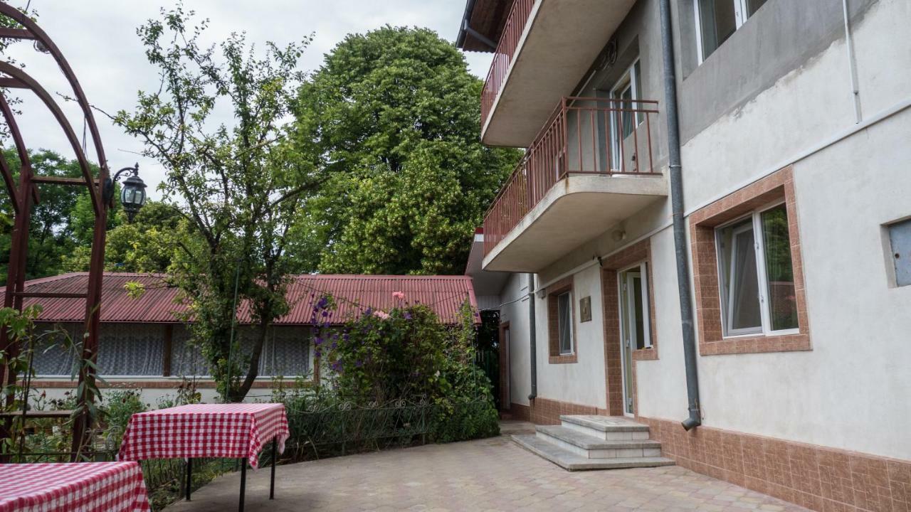 הוילה אפורי סוד Casa Din Gradina מראה חיצוני תמונה