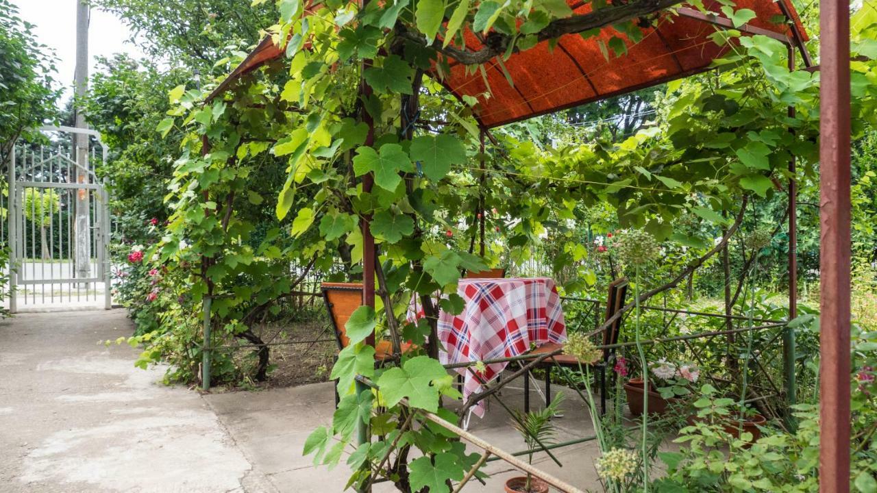 הוילה אפורי סוד Casa Din Gradina מראה חיצוני תמונה