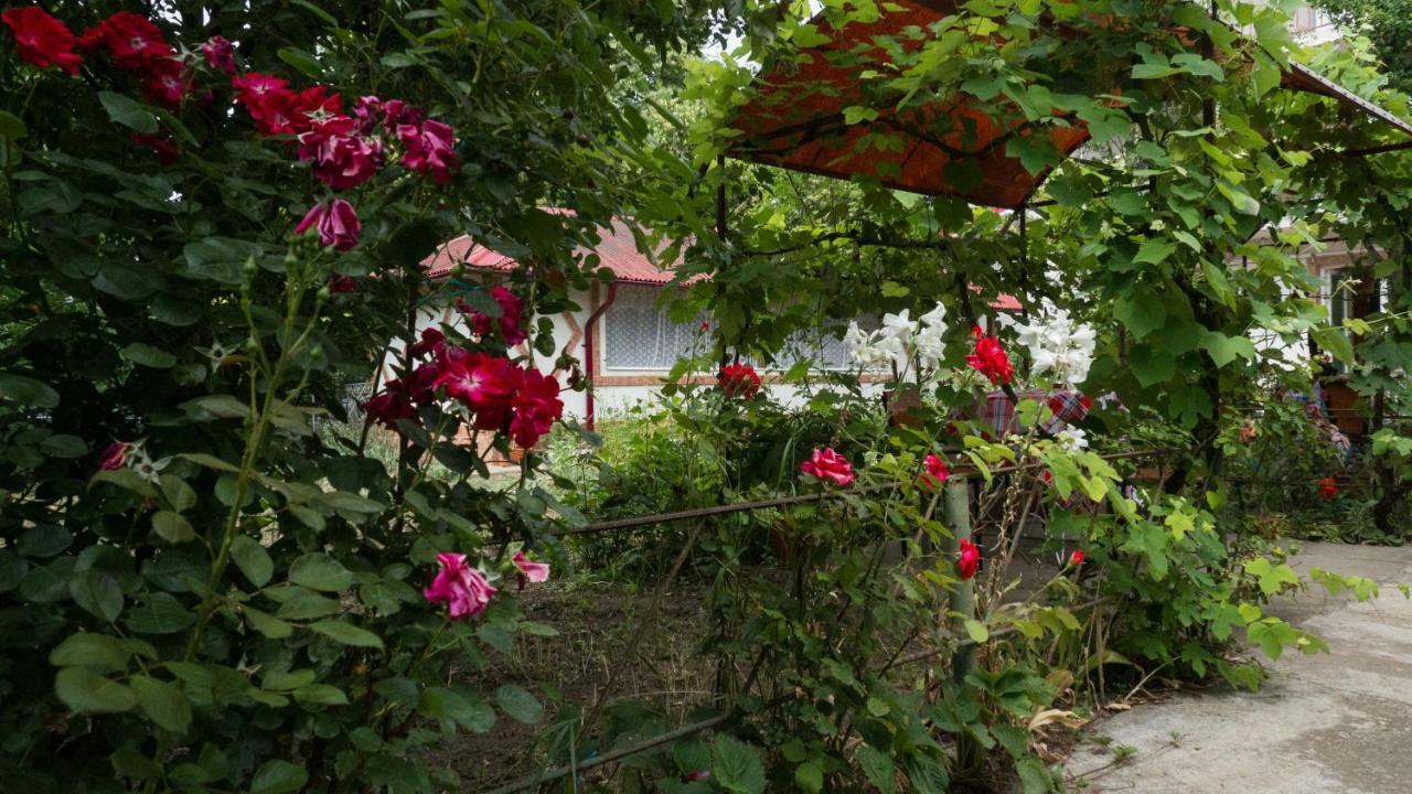 הוילה אפורי סוד Casa Din Gradina מראה חיצוני תמונה