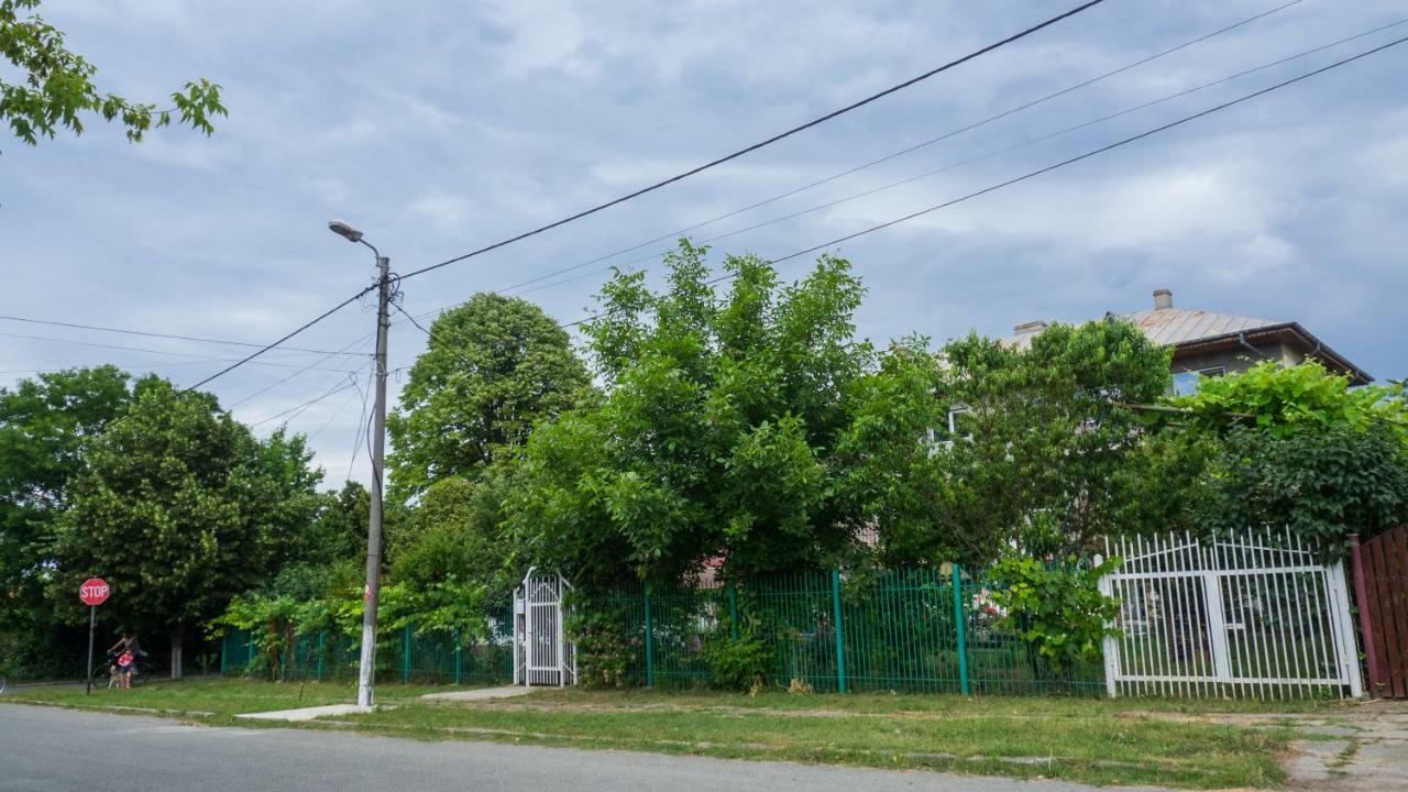 הוילה אפורי סוד Casa Din Gradina מראה חיצוני תמונה