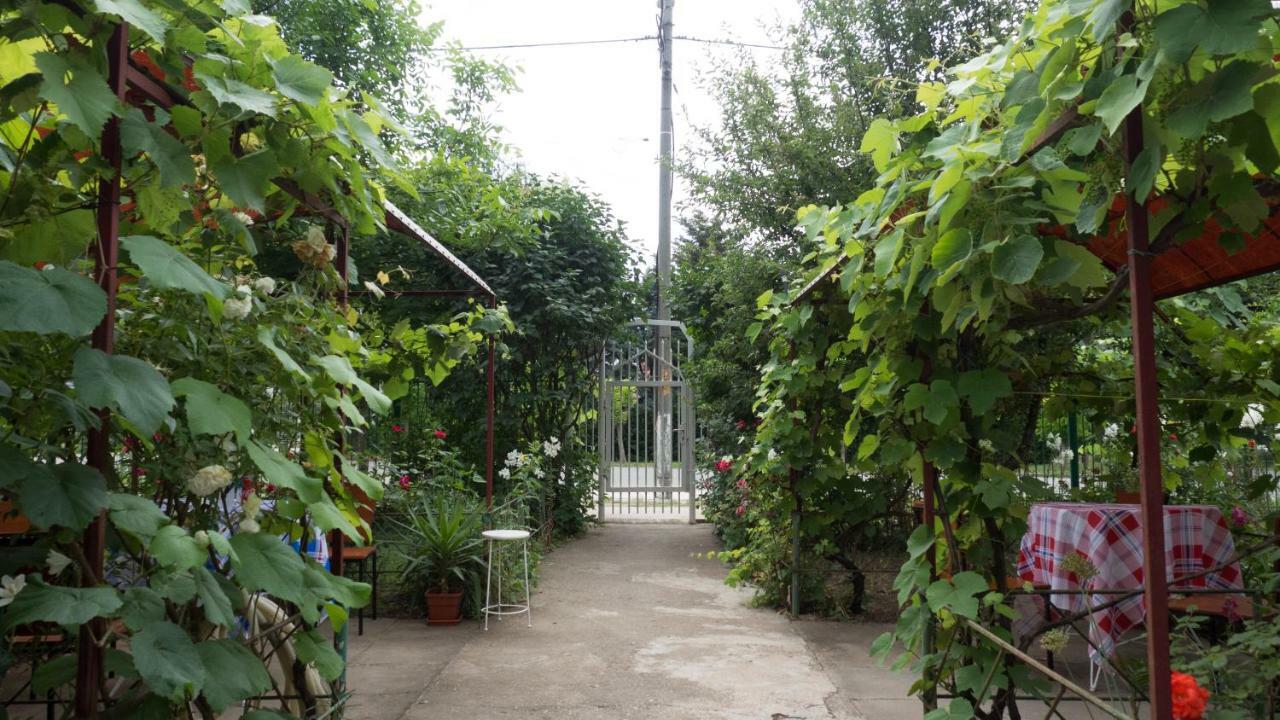 הוילה אפורי סוד Casa Din Gradina מראה חיצוני תמונה